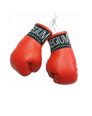 Guantes de Boxeo para Retrovisor Regium rojo