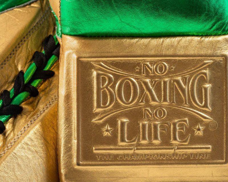 Guantes de Boxeo No Boxing No Life "pro fight" green